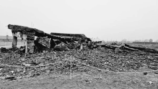 Una Vista Escala Grises Las Estructuras Campo Concentración Auschwitz Oswiecim — Foto de Stock