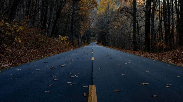 Autumn View Road Yellow Markings Passing Autumn Forest High Trees — Stock Photo, Image