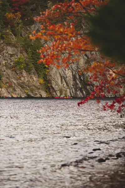 Вертикальный Снимок Красивого Озера Возле Леса Онтарио Канада — стоковое фото