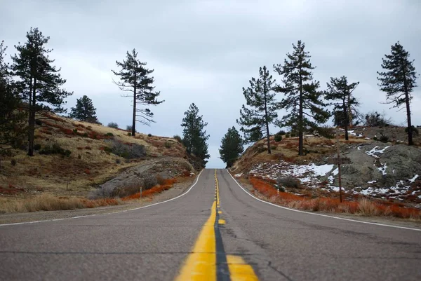 Uma Estrada Com Uma Linha Amarela Contra Fundo Pinheiros Céu — Fotografia de Stock