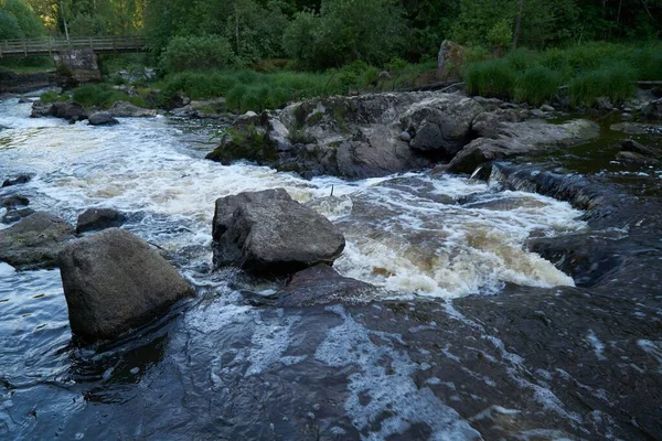 Ένα Ποτάμι Που Ρέει Μέσα Από Ένα Δάσος — Φωτογραφία Αρχείου