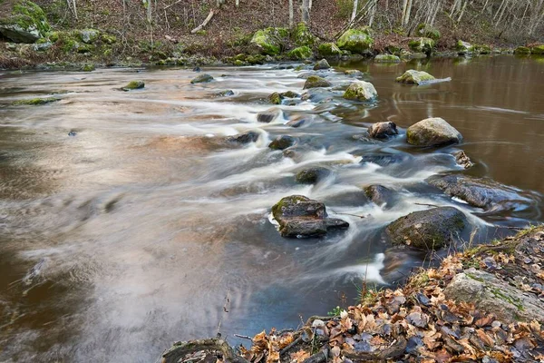 森の中を流れる川が — ストック写真