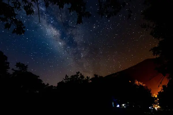 Низкий Угол Снимка Яркого Звездного Ночного Неба Над Полем Деревьями — стоковое фото