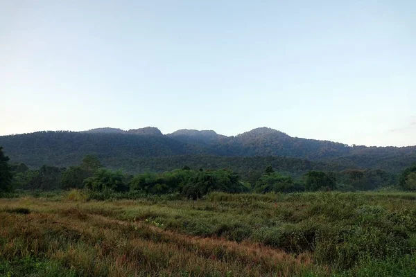 Belo Tiro Uma Grande Pastagem Verde Com Montanhas Fundo Sob — Fotografia de Stock