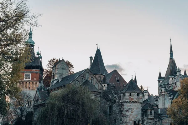 Die Burg Vajdahunyad Umgeben Von Wunderschönen Herbstbäumen Budapest Ungarn — Stockfoto
