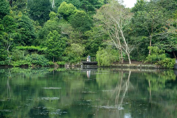 Симпатичная Пара Наслаждающаяся Видом Моста Сингапурском Ботаническом Саду — стоковое фото