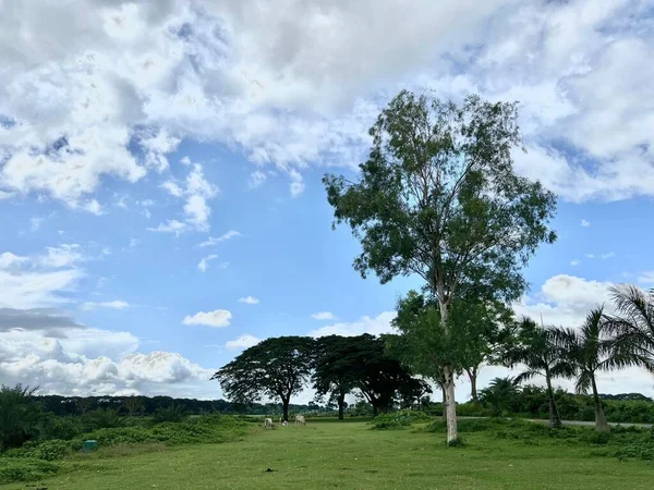 Excelente Paisagem Com Céu Azul Nublado Perfeito Para Usar Como — Fotografia de Stock