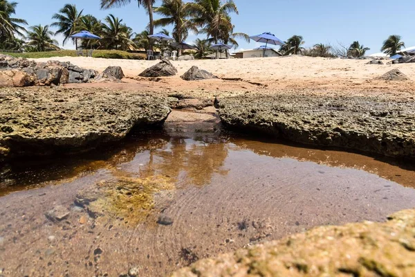 Pedra Sal Beach Vervuild Met Olie Salvador Brazilië — Stockfoto