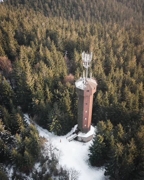 Veduta Aerea Una Torre Acqua Una Verde Pineta Nelle Montagne — Foto Stock