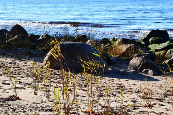 Plážový Břeh Skalami Rostlinami — Stock fotografie