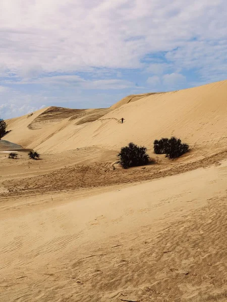 Vue Verticale Paysage Naturel Dunes Sable — Photo
