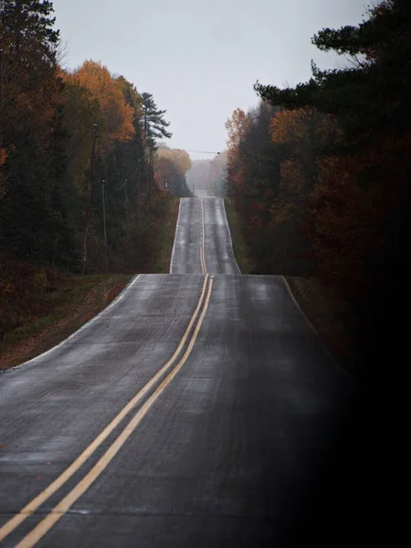 Vertikální Záběr Prázdnou Klikatou Cestu Obklopenou Stromy Deštivého Dne Podzim — Stock fotografie