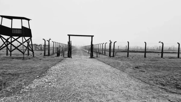 Graustufenaufnahme Des Alten Konzentrationslagers Auschwitz Birkenau — Stockfoto