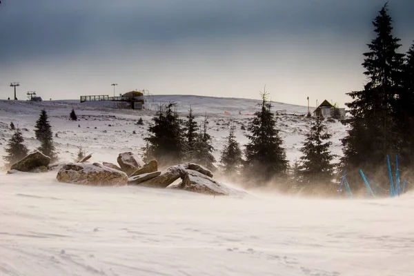 雪と冬の美しい田園風景は 曇った空の下で山の中腹に小さな家 木をかぶった — ストック写真