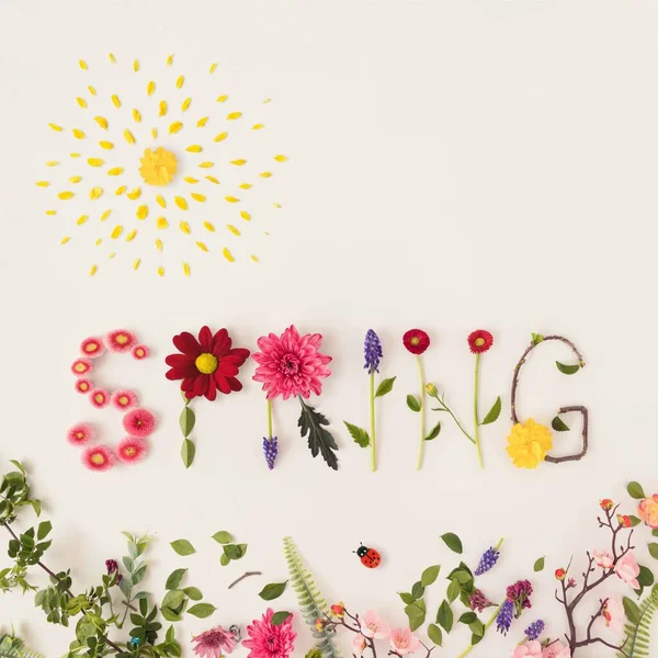 Uma Primavera Palavra Feita Flores Coloridas Fundo Brilhante — Fotografia de Stock