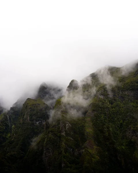 Svislý Svah Fascinujících Madeirských Hor Pokrytý Zelenou Trávou Zahalený Hustou — Stock fotografie