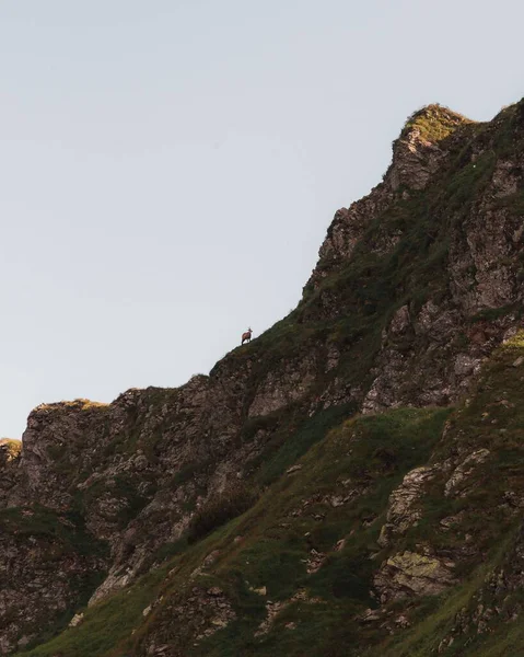 澄んだ空を背景にした緑の高いタトラ山 タトリーワイソキー の垂直 — ストック写真