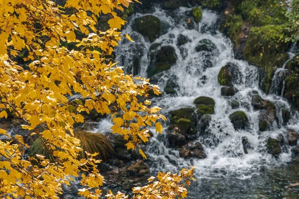 Autumn Landscape Water Flowing Rocky Surface Yellow Leaves — Stock Photo, Image