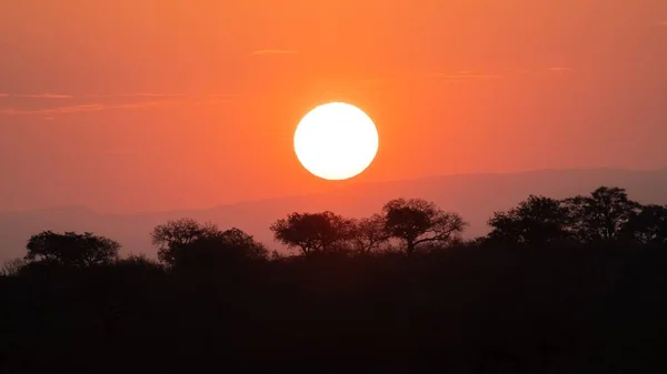 Güney Afrika Daki Kruger Ulusal Parkı Nda Safari Günbatımı — Stok fotoğraf