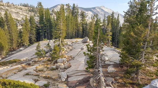 Piękny Widok Skał Drzew Parku Narodowym Yosemite — Zdjęcie stockowe
