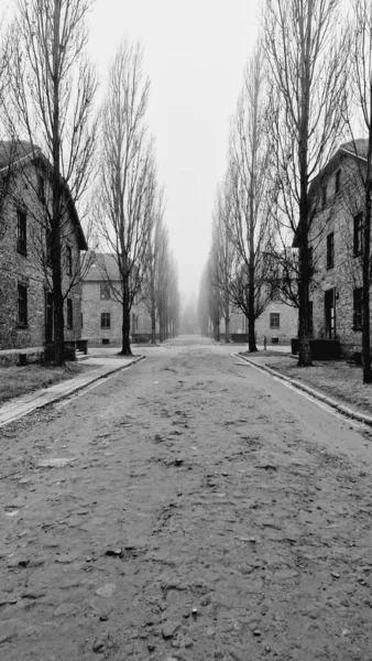 Uma Foto Tons Cinza Estrada Vazia Campo Concentração Auschwitz Durante — Fotografia de Stock