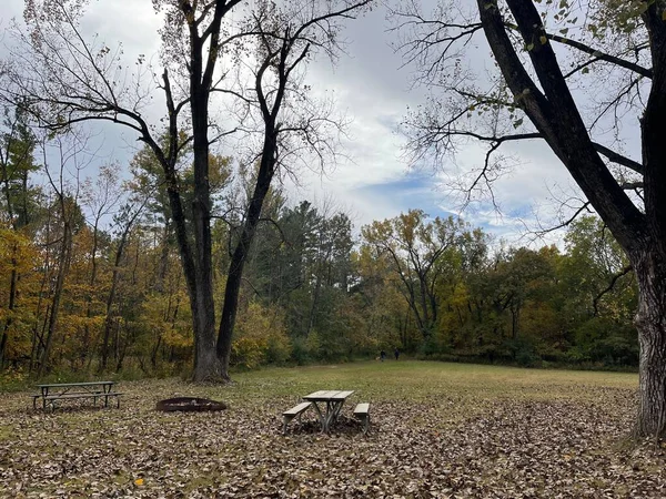 Uma Vista Parque Com Bancos Árvores Temporada Outono — Fotografia de Stock