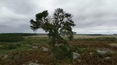 Bulutlu bir günde güzel bir kırsal alanın insansız hava aracı görüntüsü.