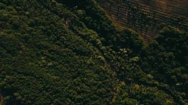 Güneşli bir günde sık bir ormanın üzerindeki hava manzarası, tarım arazisi ve kırsal alanın üzerinden geçiyor.