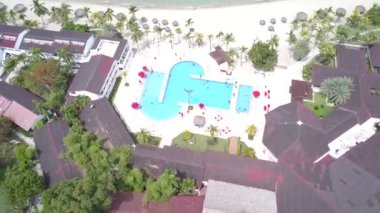 Haiti 'deki bir sahil beldesinin insansız hava aracı görüntüsü çevredeki ağaçlara bakıyor.