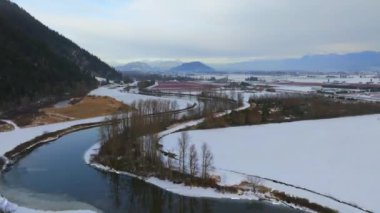 Kanada, British Columbia 'daki Sumas Nehri' nin karlı kıyısındaki çıplak ağaçların insansız hava aracı manzarası.