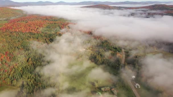 新英格兰新罕布什尔州五彩斑斓的茂密森林上空的晨雾鸟瞰 — 图库视频影像