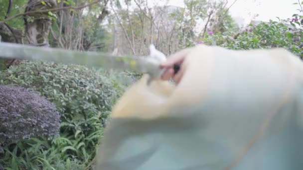 一个在汉府的女孩在公园外面拿着剑 — 图库视频影像