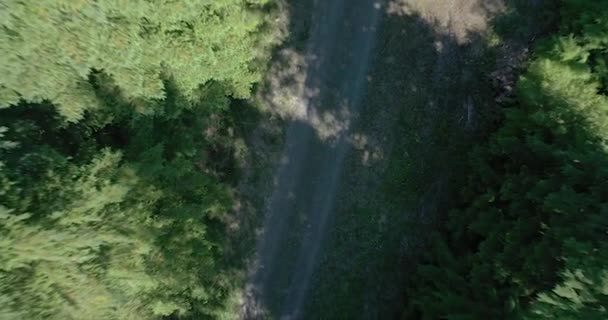 Stoupající Záběry Stezky Zeleném Lese Horou Hoodou Pozadí Oregon Usa — Stock video