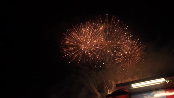 Movimento Lento Dos Fogos Artifício Brilhantes Explodindo Céu Noturno — Vídeo de Stock