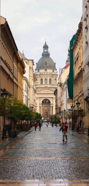 Vertikal Bild Stefansbasilikan Budapest — Stockfoto