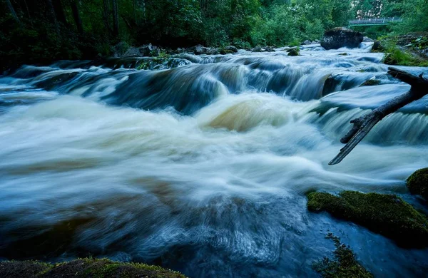 stock image A closeup shot of a flowing river in a forest