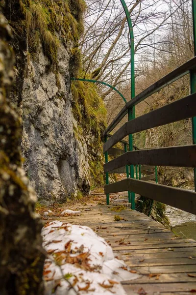 セルビア西部の川による木製の橋の垂直ショット — ストック写真
