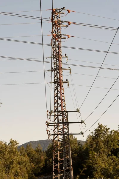 Disparo Vertical Poste Eléctrico Cables Sobre Fondo Claro Del Cielo — Foto de Stock