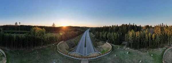 Панорамний Знімок Екологічного Шосе Трафіком Оточеним Зеленими Лісами Заході Сонця — стокове фото