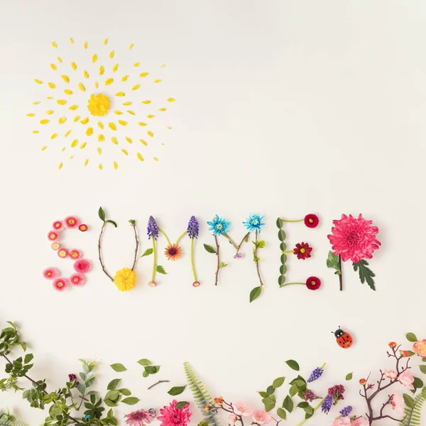 Word Summer Made Colorful Flowers Sun Bright Background — Stock Photo, Image