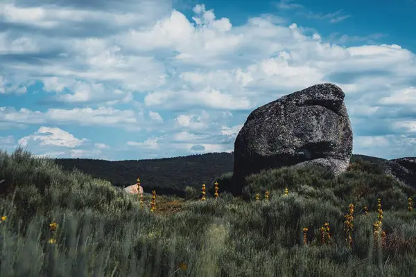 Ένας Τεράστιος Βράχος Στην Τεράστια Περιοχή Καλυμμένος Πράσινο — Φωτογραφία Αρχείου