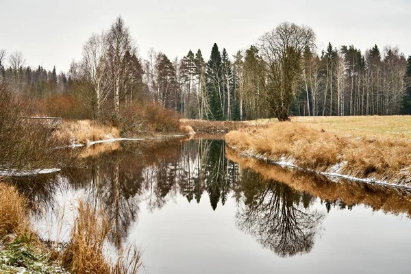 Kışın Ormanda Akan Nehrin Güzel Bir Görüntüsü — Stok fotoğraf