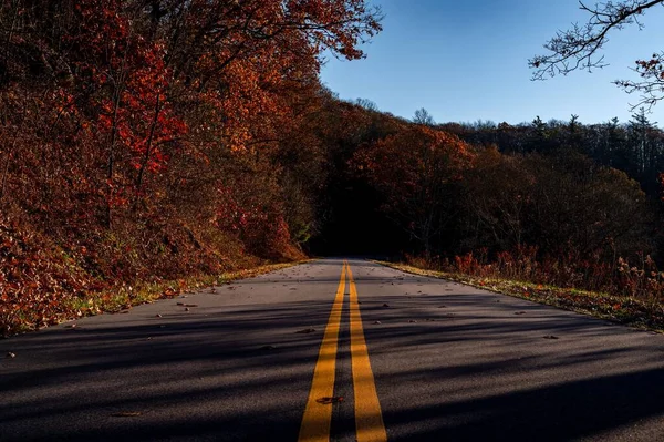 Uma Estrada Estreita Bela Floresta Durante Outono — Fotografia de Stock