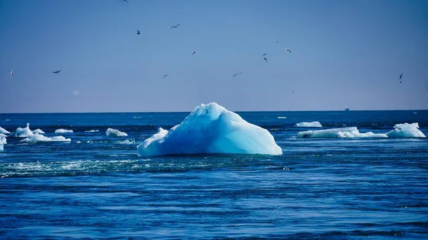 Yüzen Buzdağlarıyla Mavi Denizin Manzarası — Stok fotoğraf