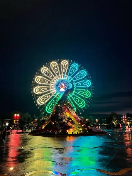 Vertical Shot Peacock Ferris Wheel Dark Night — Stock Photo, Image