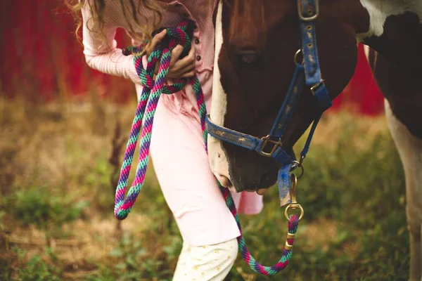 Женщина Ласкающая Лошадь Поводке Конюшне Онтарио Канада Размытом Фоне — стоковое фото