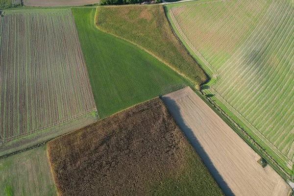 Légi Kilátás Zöld Mezőgazdasági Területek Betakarításra Kész Növények Egy Napsütéses — Stock Fotó