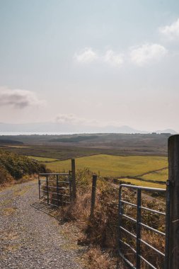 Baharda yeşil alanların dikey çekimi