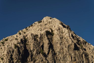 İspanya 'nın Cadiz kentindeki dağların yakınlarındaki güzel bir ormanın hava manzarası.