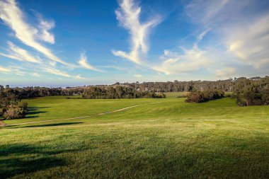 Güneşli bir günde güzel bir ormanın alçak açılı manzarası